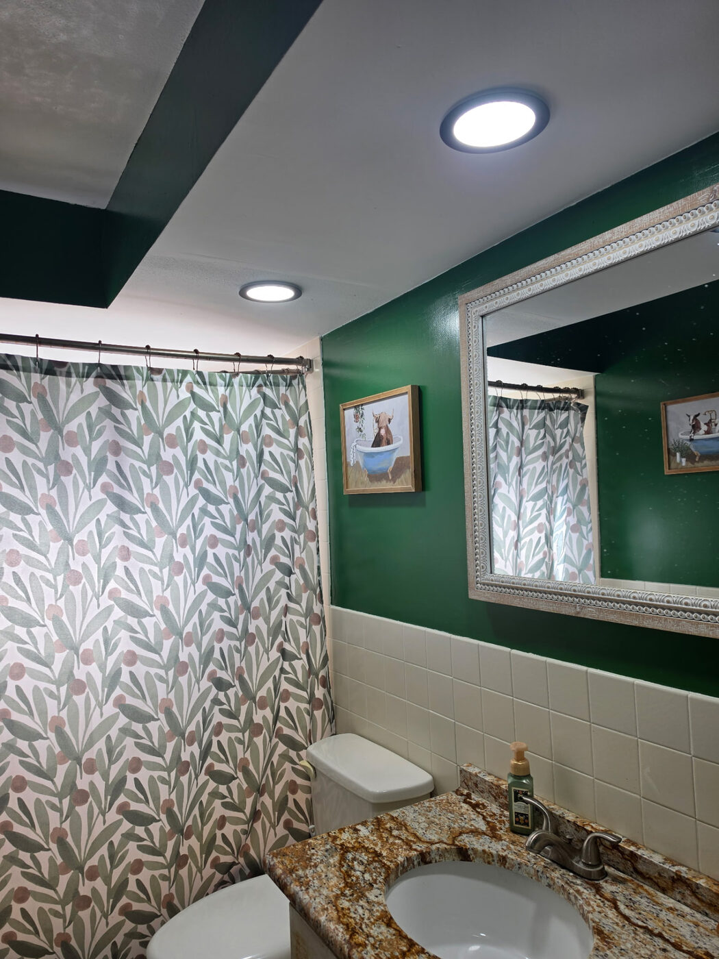 Green guest bathroom with flush-mount LED ceiling lights
